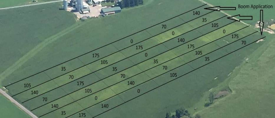 field with research plot layout overlaid