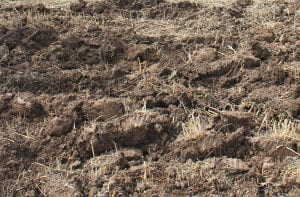 soil in agricultural field