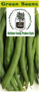 Green beans brochure