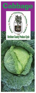 Cabbage brochure