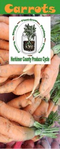 Carrots brochure