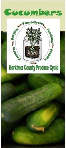 Cucumbers brochure