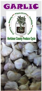 Garlic brochure