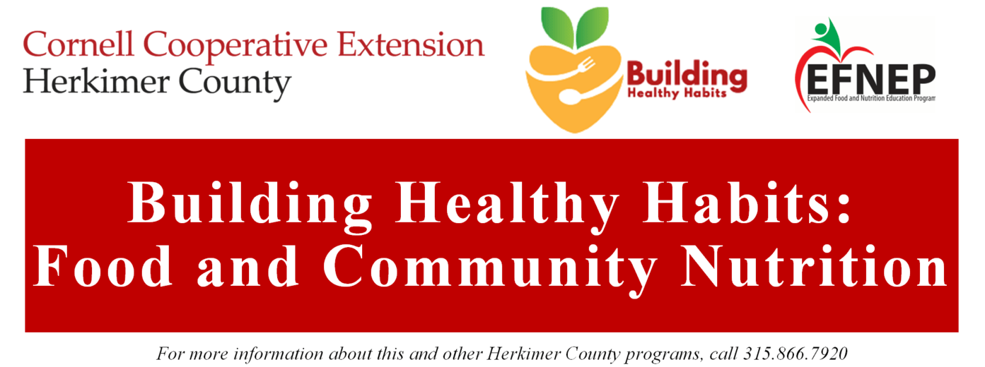 Building Health Habits Newsletter
