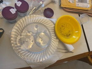 Clear plastic plate with an open petri dish, forceps, and yellow bowl for sorting insects