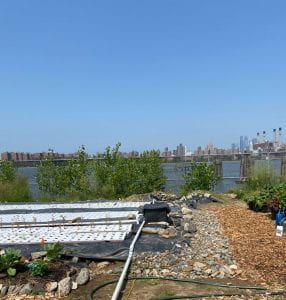 View of Oko Farms raised beds in front of the water