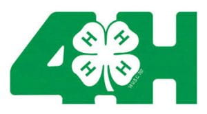4H Clover logo