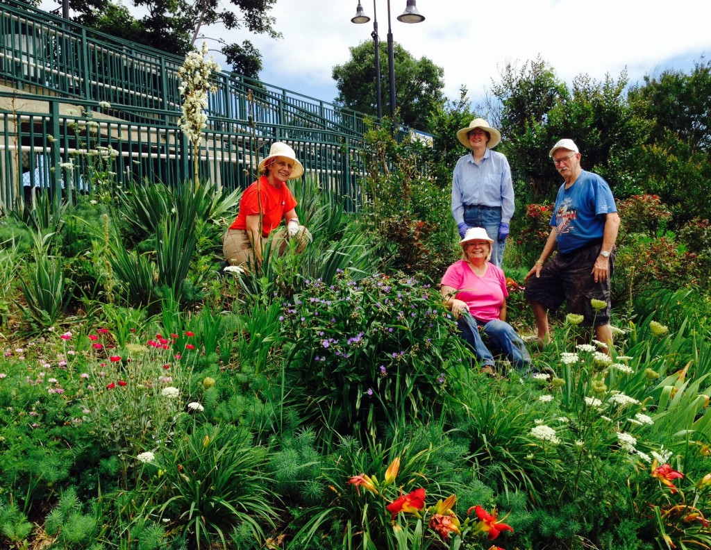 Master Gardener Volunteers use drought-tolerant plants to beautify Medford Train Station.