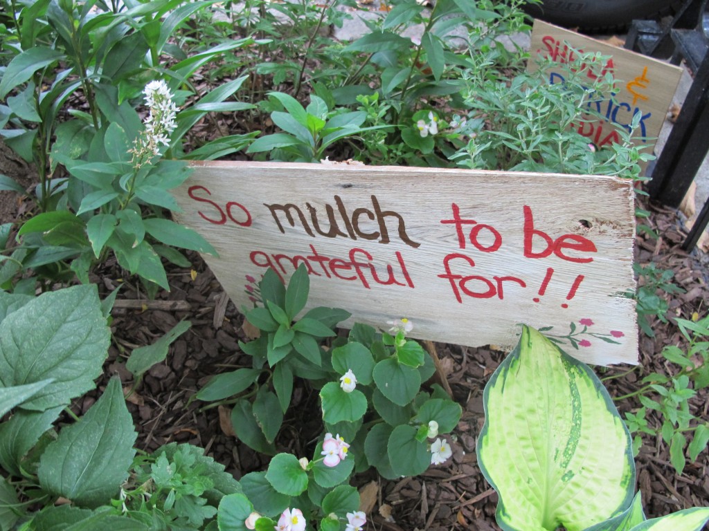 Using mulch is key to waterwise gardening and healthier plants. Photo c Robin Simmen