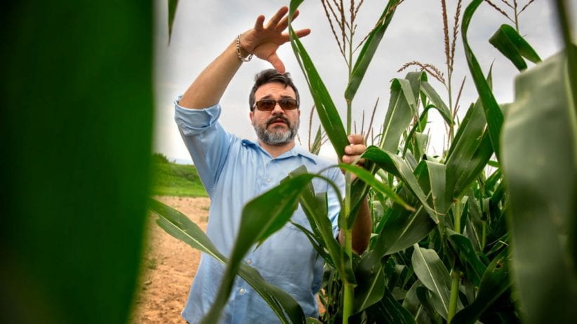Mike Gore, Ph.D. '09, plant geneticist in the College of Agriculture and Life Sciences, explains corn breeding at Musgrave Research Farm in Aurora, New York, in August.