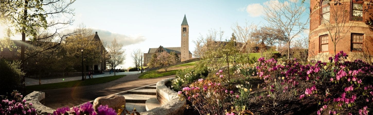 Cornell campus scene featuring clock tower