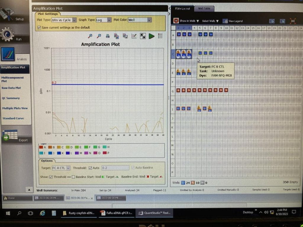 qPCR results showed no Rusty crayfish eDNA detected in the control, as we would expect. Screenshot by Lee Yoke Lee