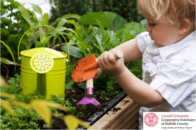 Young child gardening
