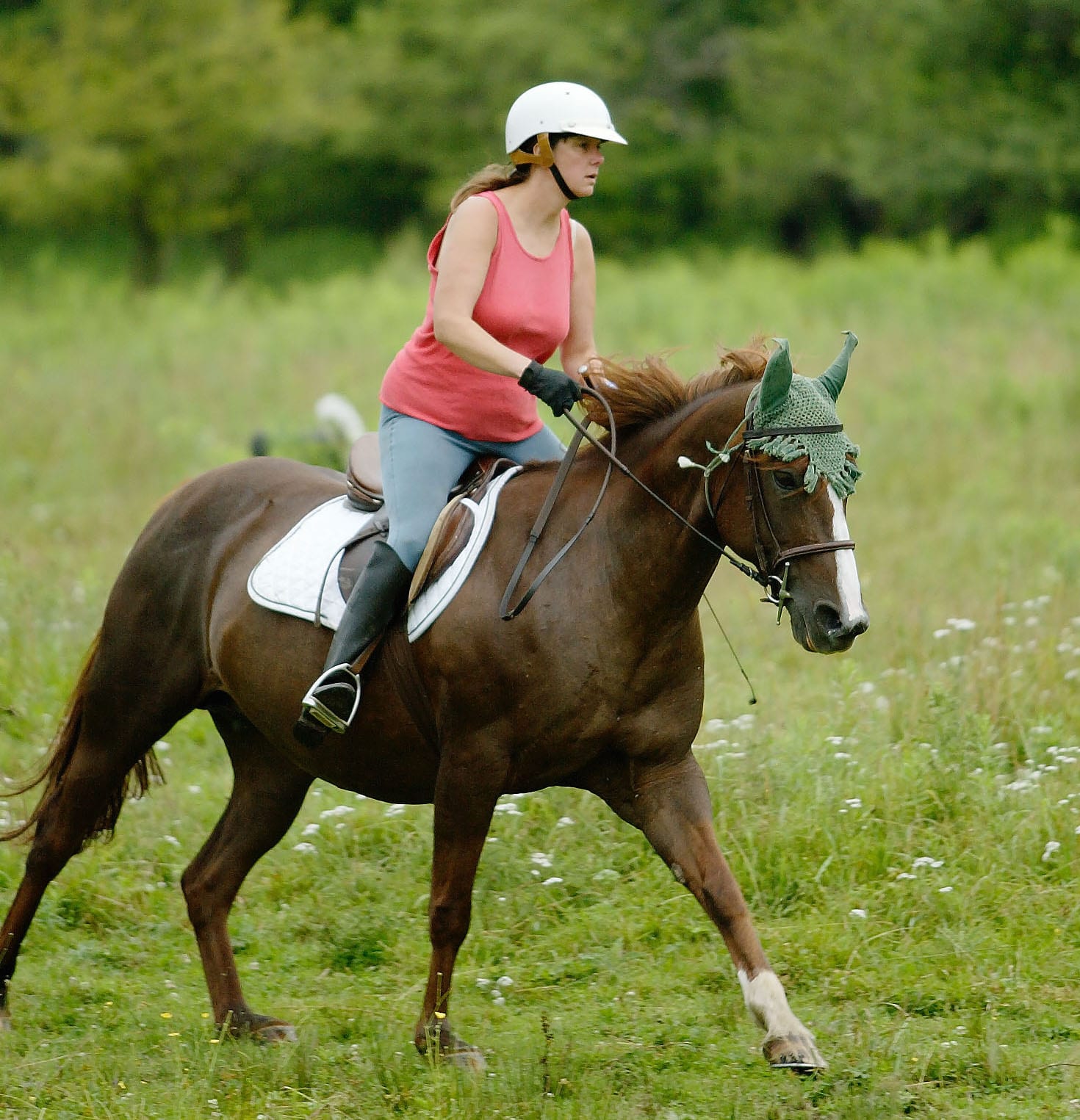 Getting Started With Horses: Riding Apparel Horse Illustrated