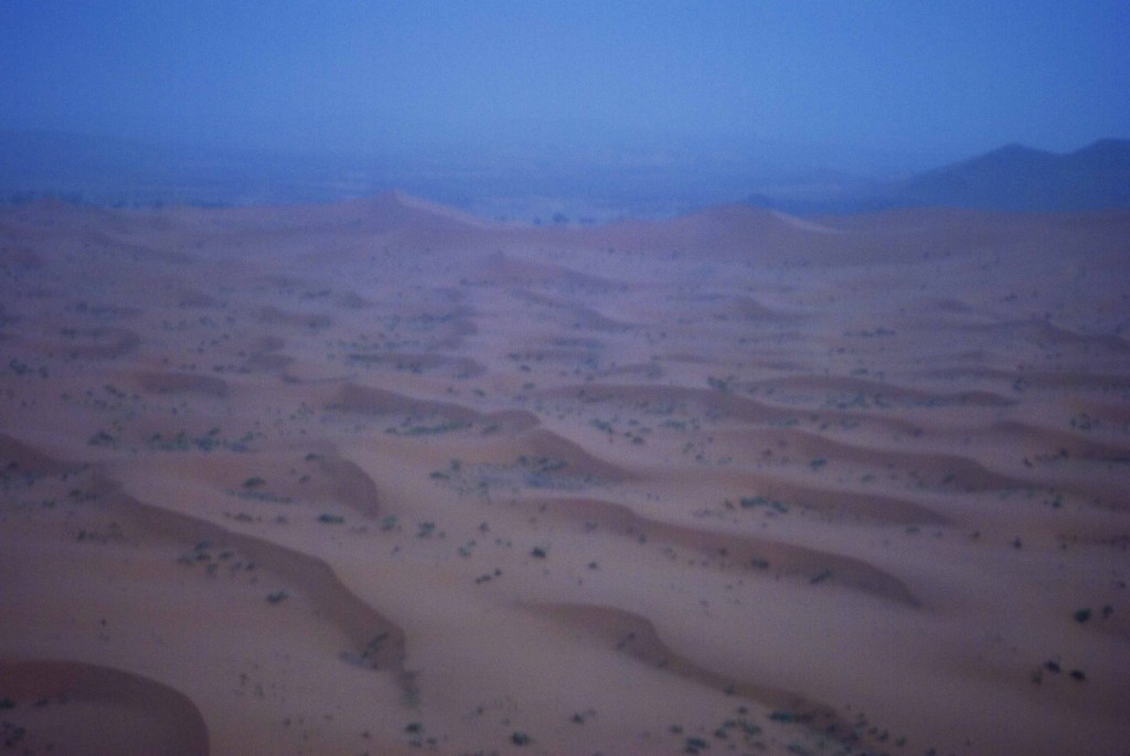 Sand Dunes bathed in moonlight in Western Sahara