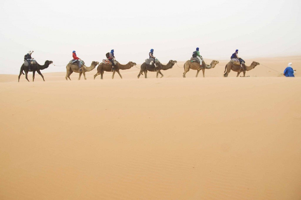 Camel Ride to a nomad village in the Sahara