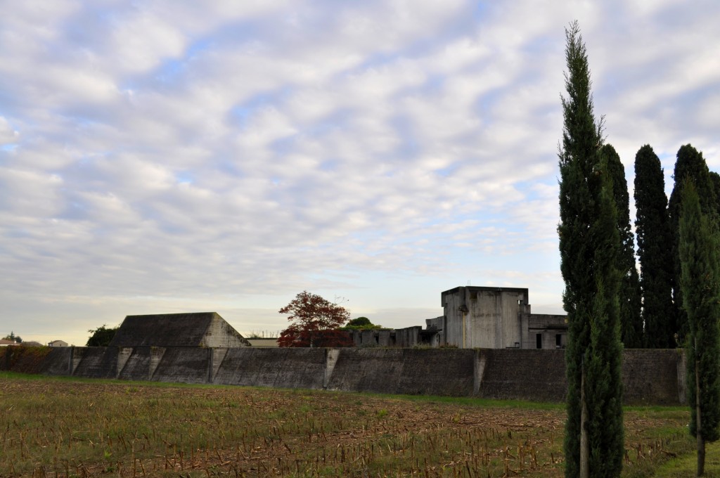Brion Cemetery surrounded by corn fields