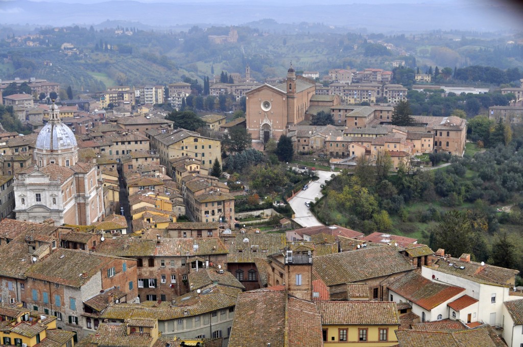 View of Sienna from Torre di Mangia