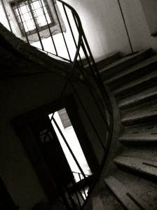 The spiral staircase in Villa Medici- my first studio assignment was to visit this building and to analyze its contrsuction