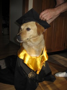 Graduate from a behavior class today!