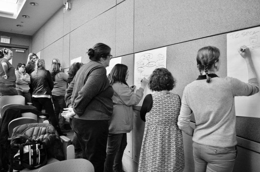 Attendees of the 2019 fall Cornell Maddie's Shelter Medicine Mini-Conference work together to create their org charts.