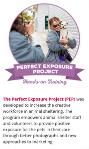 Perfect Exposure Project