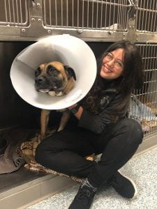 Dr. Dani Lopez Goicochea with Dog 