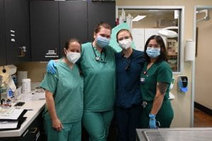 Dr. Erin Henry (left), Kelsey Arrison, LVT, Dr. Pow, and Dr. Lopez Goicochea lead dog TNR at the SPCA of Tompkins County 
