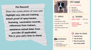 Pet resume sample, taken from Dianne Prado's presentation