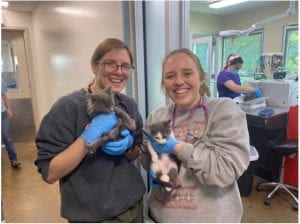 Fourth-year DVM students Ivanka and Colleen pose with cats they spayed with MSMP the day before, while waiting for their Wiederhold case to be prepped at the Tompkins County SPCA 