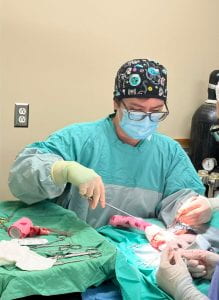 Dr. Anna Young performing surgery. 