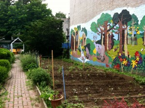 A community garden in Bed-Stuy, Brooklyn (personal photo)
