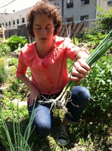 A community gardener at Hart to Hart garden in Bed-Stuy, Brooklyn, shows off some scallions (personal photo)