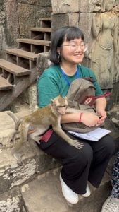 Monkeys visiting students