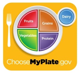 My Plate image showing the daily amount of fruit, vegetables, grains, protein and dairy.