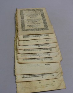 The book, separated into sections.