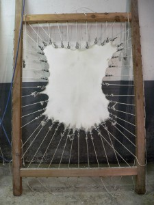 A skin of parchment stretched on a frame.