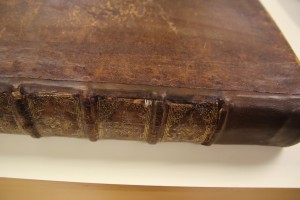 This is a closer view of the tacket and new leather. The spine pieces have not been replaced at this point.