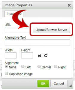 image dialog with upload button