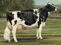 ideal_cow_modern