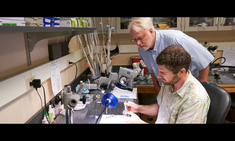 Lab technician constructing a microdrive and being checked by David Smith, PhD. Photo Credit: Dave Burbank / Cornell