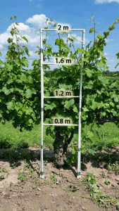 Photo of frame used for Point Quadrat Analysis