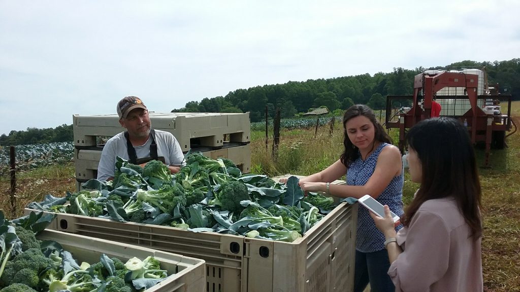 Carol Dong discusses broccoli production with grower Duane Cassell and Virginia Extension agent Ashley Edwards.