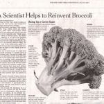 Clip of newspaper A scientist helps reinvent broccoli