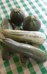 (Zucchinis are summer squashes that are harvested early while the seeds are still soft.)