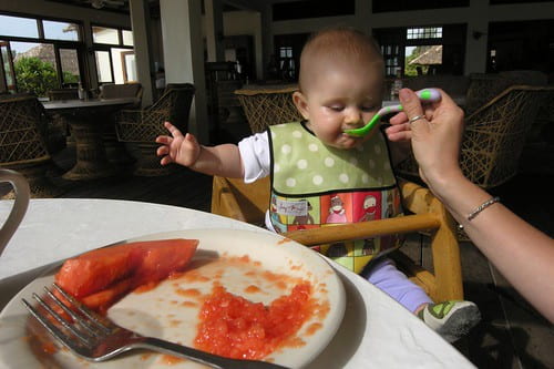 Home Made Baby Food: So easy, a baby could do it (and happily eat it!)