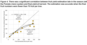 There was a significant correlation between fruit yield estimation late in the season (with the Pometa vision system and final yield at harvest. The estimation was accurate when the final fruit numbers were fewer than 75 fruit per tree.