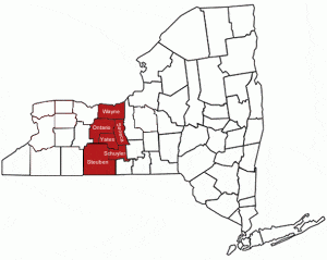 New York State map showing six FLGP counties