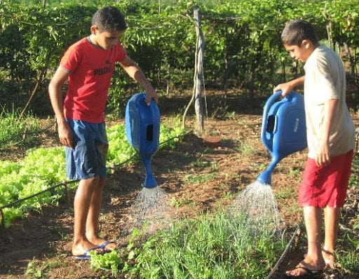 5 Garden Watering Tips