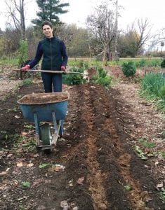 Add compost before planting